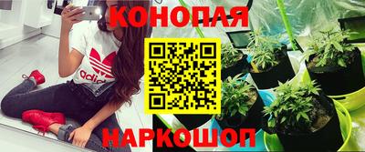 гашишное масло Нальчик