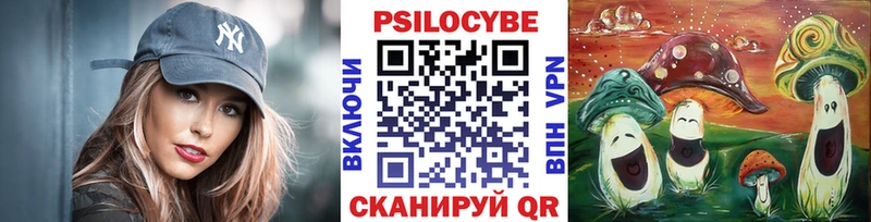 продажа наркотиков  Моршанск  Галлюциногенные грибы мицелий 
