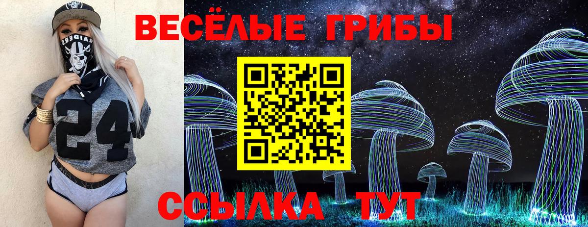 Галлюциногенные грибы Magic Shrooms  Моршанск 