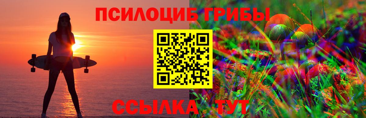 Псилоцибиновые грибы Psilocybe  Вход с VPN  Моршанск 