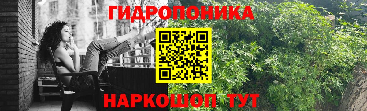 Конопля сатива Моршанск